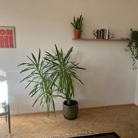 Apartmán Stylový A Slunný S Uměleckým Nádechem V Blízkosti Centra